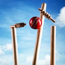 cricket