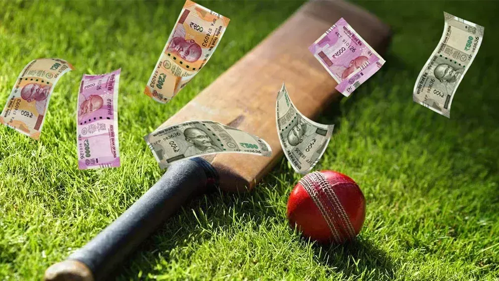 How to Earn Money in Cricket Betting